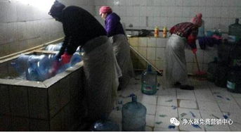 桶裝水內幕曝光 重復回收桶與一次性濾芯，哪個更安全？